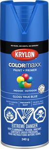 Krylon Colormaxx Spray Paint