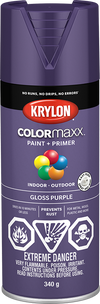 Krylon Colormaxx Spray Paint